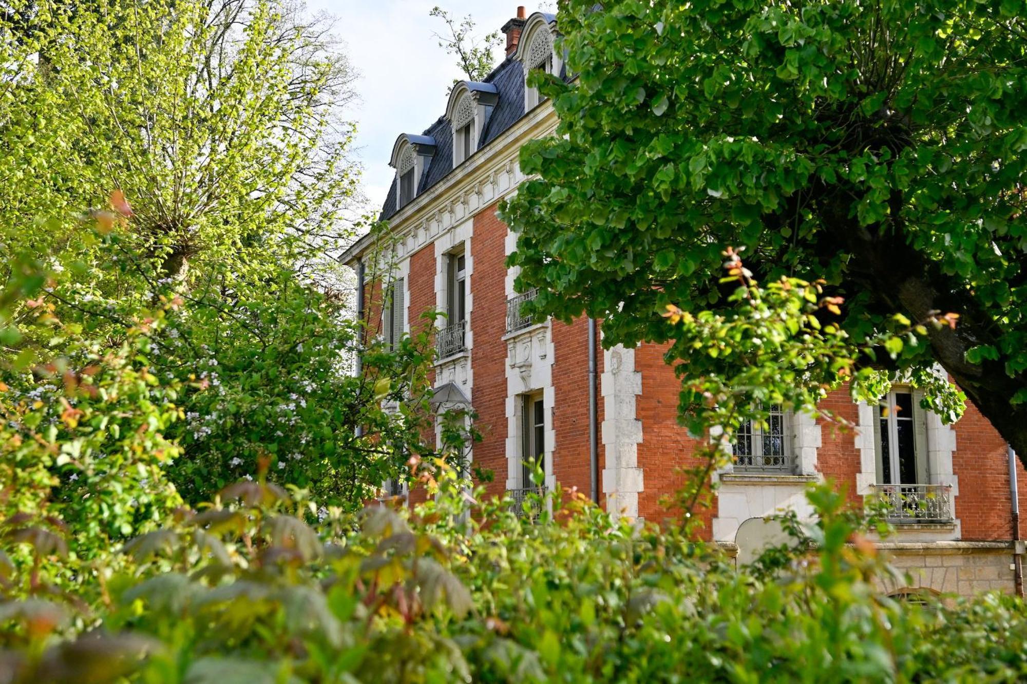 Chateau De La Chaix Saint-Christophe-en-Brionnais Bagian luar foto